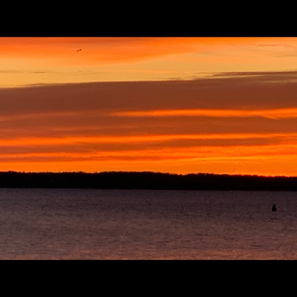 Meet your Posher, Frances - Picture 1 of 1